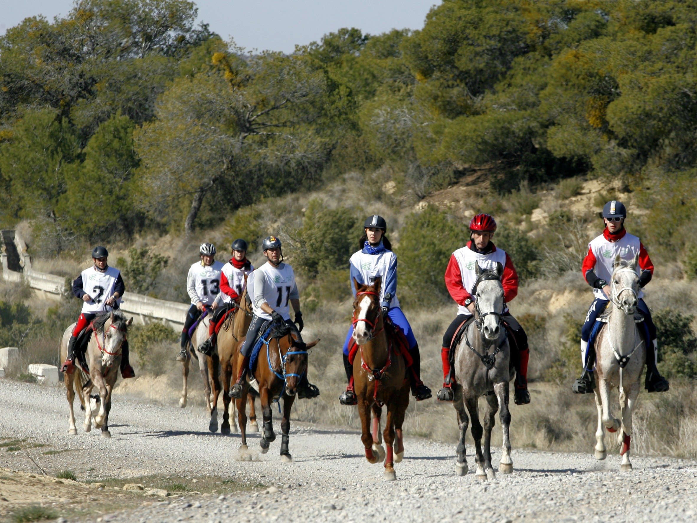 El Jinete Navarro Paco Ayestaran Ganó El XXVI Raid Internacional CEI* Celebrado En Figarol